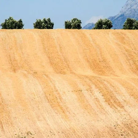 Landhuis La Choza De Trasmulas