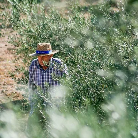 La Choza De Trasmulas